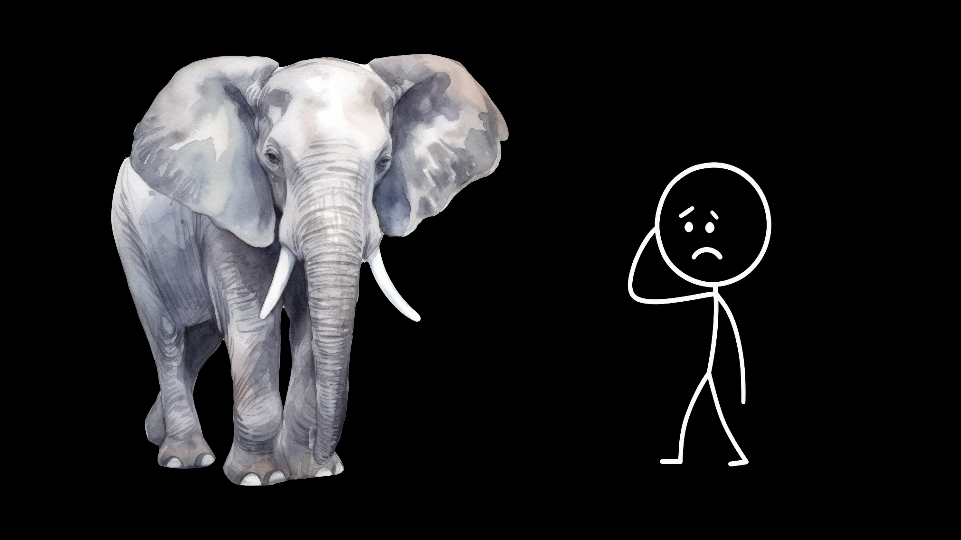 elephantlslspe